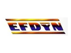 (yng)(gu)EFDYN_