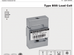 BSS-2TSS-ESH