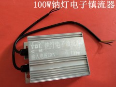 YDL100W߉c(zhn)S